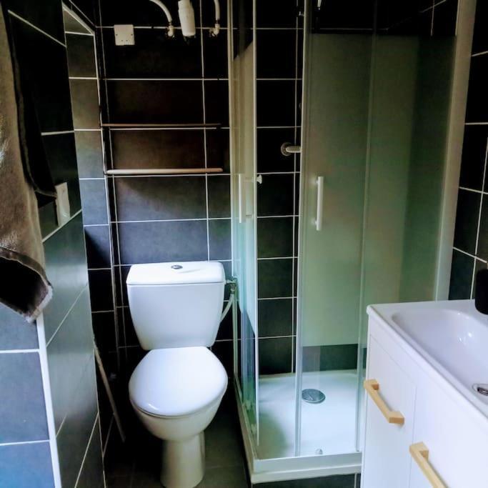 Le Cosy Chaleureux Appartement Σαιντ-Ετιέν Εξωτερικό φωτογραφία